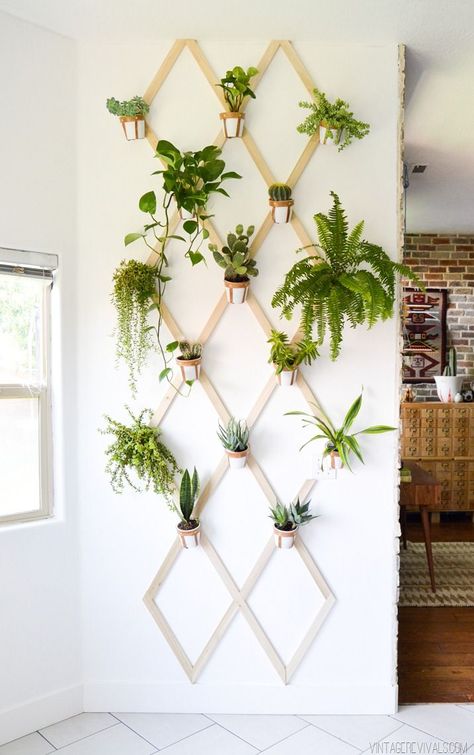 DIY Wood and Leather Trellis Plant Wall Indoor Mini Garden, نباتات منزلية, Trellis Plants, Vintage Revival, Walled Garden, Ideas Casa, Beautiful Apartments, Boho Dekor, Decor Minimalist