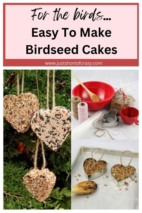 Bird Seed Cakes, Bird Seed Crafts, Edible Birdhouse, Bird Seed Ornaments Recipe, Bird Seed Favors, Bird Feeders For Kids To Make, Pine Cone Bird Feeder, Bird Suet, Make A Bird Feeder