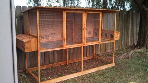 Quail Cages | Page 3 | BackYard Chickens - Learn How to Raise Chickens Quail Coop Ideas, Quail Coop Ideas Diy, Quail Raising, Quail Pen, Quail House, Quail Coop, Raising Quail, Duck Coop, Portable Chicken Coop