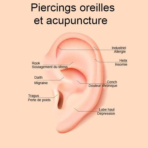 Ear Piercing Benefits, Piecing Oreille, Piercing Oreille Nom, Anti Helix, Anti Helix Piercing, Piercing Snug, Ear Piercings Chart, Piercing Chart, Piercing Tragus