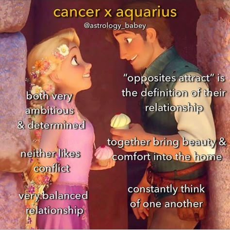 Cancerian Drawing, Aquarius And Aquarius Relationship, Things Aquarius Love, Aquarius Moon Sign, Aquarius Sexuality, Zodiac Characters, Astrology Aquarius, Aquarius Life, Zodiac Memes Aquarius