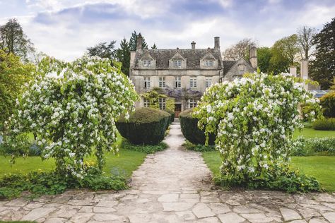 Barnsley House Garden - celebrating Rosemary Verey | Gardens Illustrated Short Shaggy Hairstyles, Hairstyles For Over 60, Classic Garden Design, Barnsley House, Village Festival, Shaggy Hairstyles, Haircuts Medium, English Garden Design, Rosemary Plant