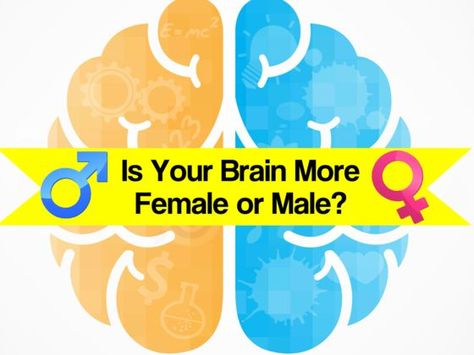 Do you really know how your brain is wired? Gender Quiz, Does He Like Me, Mercer University, Relationship Quizzes, Random Quizzes, Brain Test, Teacher Problems, Quiz Me, Personality Tests