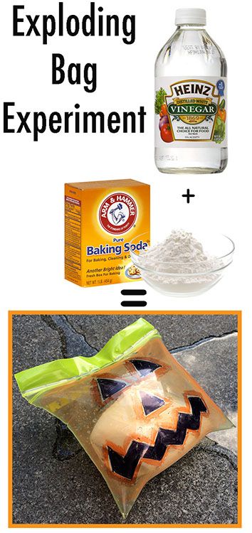 exploding bag experiment. A STEM activity that children are sure to enjoy. Exploding Bags Experiment, Exploding Sandwich Bag Experiment, Ziploc Bag Science Experiment, Exploding Baggie Experiment, Exploding Monster Bag, Fall Science Experiments Kids Elementary, Exploding Pumpkin Experiment, Halloween Experiments For Kids, Halloween Science Experiments For Kids