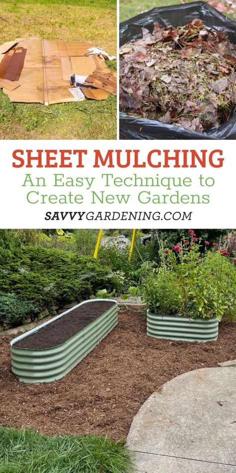 Everything you need to know about sheet mulching in your garden. A simple gardening technique to help you create a new garden. Fall is a great time to start sheet mulching so the area will have a chance to break down over the winter giving you perfectly nutrient-rich garden soil to start your garden again. Similar to composting sheet mulching can help you prepare your new garden. Vegetable Garden Mulch, Spices Garden, Best Mulch For Vegetable Garden, Backyard Permaculture, How To Prepare Garden Beds For Planting, Raised Bed Permaculture Garden, Rich Garden, Garden Planing, Preparing A Garden Bed