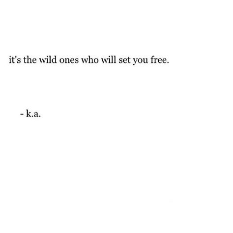 Wild 😜 Quote Inspirational, I'm With The Band, Quote Life, Wild One, Wild Ones, Rumi, Motivational Quote, Poetry Quotes, Pretty Words