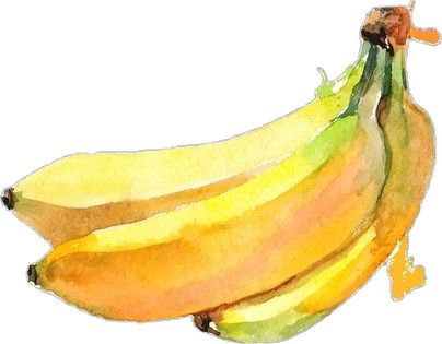 Tropical Flowers Bouquet, Banana Painting, Watercolor Fruit, Green Banana, Watercolor Paintings Abstract, Sunrooms, Exotic Fruit, Tropical Fruits, Fruit Art