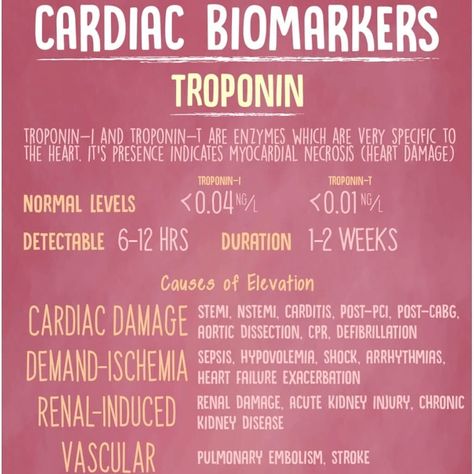 MedicoNotes for Medical Notes on Instagram: “Normal levels of Troponin (whether T or I) are zero, as or close to zero as you can get. Labs may utilize different assays which may have…” Cath Lab Nursing, Cath Lab Nurse, Biology Lover, Medicine Anatomy, Acute Care Nurse Practitioner, Doctor Of Nursing Practice, Nurse Study, Medical Notes, Nursing Motivation