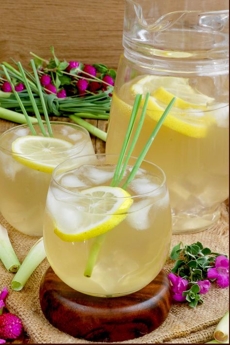 Lemongrass and Ginger Juice - Foxy Folksy Lemongrass Drink, Ginger Rice, Foxy Folksy, Rosemary Tea, Pinch Of Nom, Ginger Drink, Lemongrass Tea, Homemade Juice, Lemon Blossoms