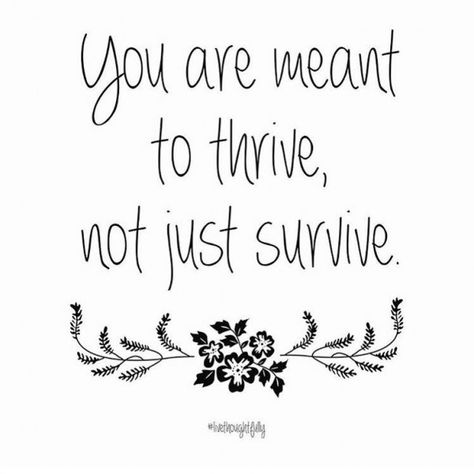 Do you believe that you are meant to thrive? Or, as the week finishes to you feel that you are in survival mode, barely keeping your head above the water?   Repin and click the image to read the full post! | The Red Fairy Project Thrive Word Of The Year, Maya Angelou Thrive Quote, Thrive Inspiration, You'll Be Okay Quotes Stay Strong, You Don’t Always Have To Be Strong, Calligraphy Quotes Doodles, Red Fairy, Wellness Videos, Healthy Lifestyle Quotes