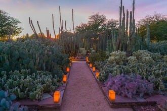 A Desert Holiday: The Best Holiday Attractions in Metro Phoenix Things To Do In Az, Phoenix Travel Guide, Things To Do In December, Downtown Winter, Ice Skating Rink, Desert Botanical Garden, Downtown Phoenix, Winter Event, Skating Rink