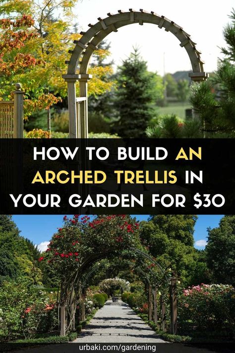 Curved Trellis, Arched Trellis, Climbing Roses Trellis, Wisteria Trellis, Diy Arbour, Garden Arch Trellis, Garden Archway, Flower Trellis, Wood Trellis