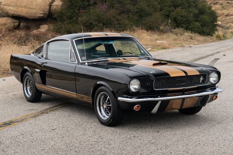 1966 Ford Mustang Shelby GT350H (black, gold stripes, 289 HiPo V8, 4-speed) Mustangs Cars, Cars Storage, Ford Mustang Shelby Gt350, Gold And Black Wallpaper, 1966 Mustang, Mustang Sally, Billy Hargrove, Shelby Gt350, Old Muscle Cars