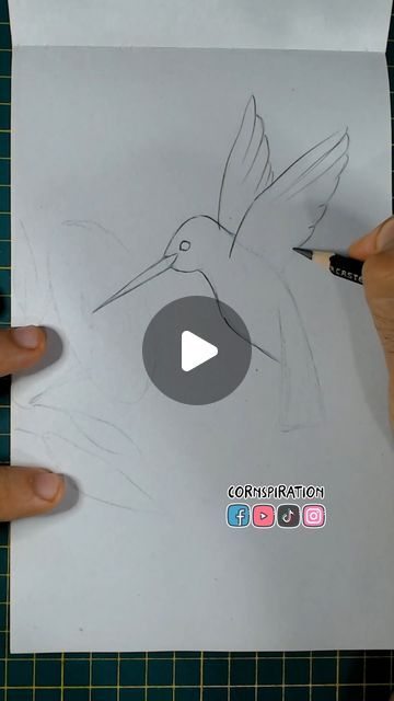 Humming Bird Art Drawing, Hummingbird Drawing Simple Step By Step, How To Draw A Hummingbird, Save Animals Drawing, Hummingbirds Drawing, Hummingbird Drawing Sketches, Draw Hummingbird, Drawing Hummingbirds, Bird Drawing Tutorial