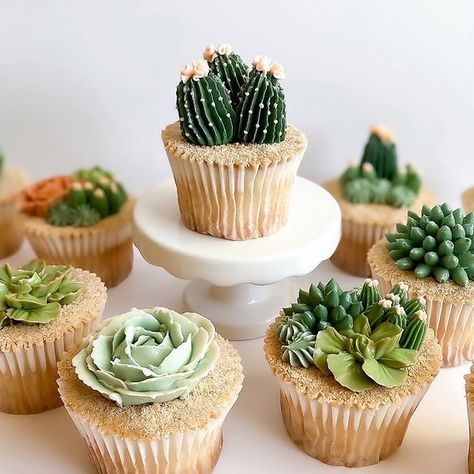 CLASSES | Sugar & Frost Buttercream Succulents, Succulent Cake, Sugar Frosting, Floral Cupcakes, Wedding Cupcakes, Menu Items, Buttercream Cake, Cupcake Cookies, New Tricks