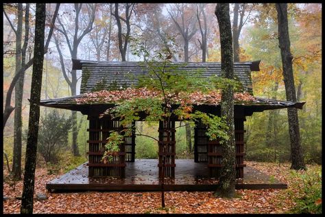 Tea House1 Japanese Pavilion, Japanese Backyard, Big Forest, Fall Foilage, North Alabama, Cabin Camping, Building Ideas, Favorite Season, Bike Trails