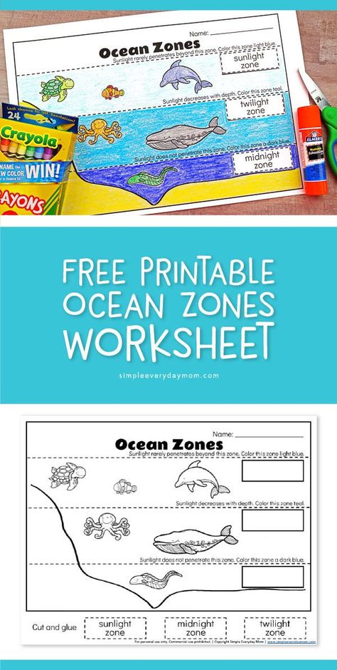 Free Printable Ocean Zones Worksheet | Teach young kids in preschool, kindergarten and first grade the zones of the ocean with this fun worksheet and coloring page.  #teacher #preschool #kindergarten #elementary #earlychildhood #freeprintable #kids #kidsandparenting #educationalactivities #ideasforkids Ocean Kindergarten, Ocean Lesson Plans, Layers Of The Ocean, Ocean Zones, Travel Venice, Ocean Theme Preschool, Ocean Habitat, Ocean Projects, Ocean Unit