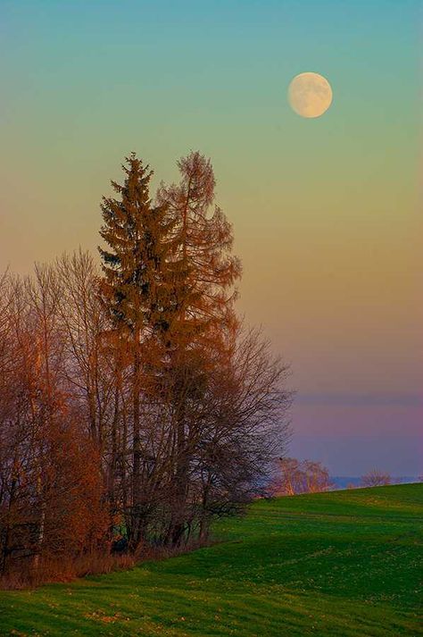 The Full Moon, Beautiful Moon, Foto Art, Beautiful Photography, Amazing Nature, Nature Photos, Nature Beauty, Belle Photo, Full Moon