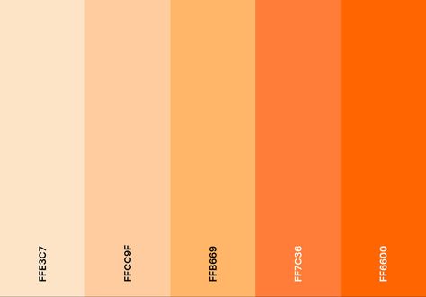 Orange gradient color palette starting from a very pale light orange transitioning to a light peach color and then into a very bright and opaque orange Yellow To Orange Gradient, Orange And Tan Color Scheme, Orange Color Pallete Colour Palettes, Orange Hues Colour Palettes, Reddish Orange Color Palette, Orange And Yellow Color Scheme, Orange Gradient Palette, Orange Aesthetic Color Pallete, Orange Creamsicle Color Palette