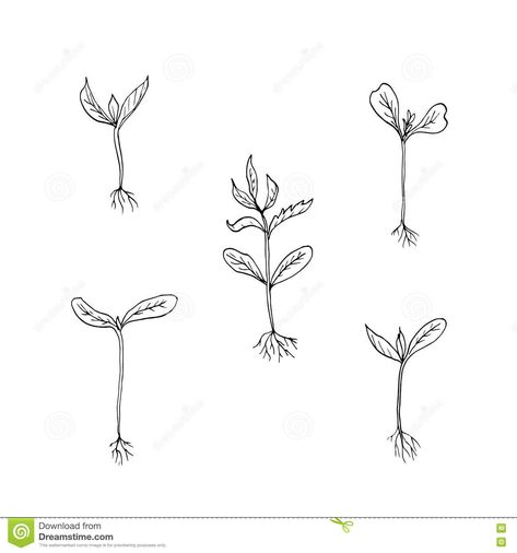 Flower Sprouting Drawing, Tiny Potted Plant Tattoo, Seedling Tattoo Simple, Simple Plant Tattoos For Women, Sprout Tattoo Plant, Plant Growing Tattoo, Plant Sprout Tattoo, Plant Propagation Tattoo, Growing Plant Tattoo