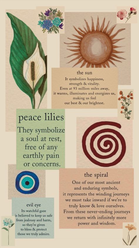 Peace Lily Spiritual Meaning, Peace Lily Wallpaper, Peace Lily Meaning, Spiral Spiritual Meaning, Peace Lily Aesthetic, Lilies Meaning, Peace Lily Tattoo, Plant Symbolism, Lily Meaning