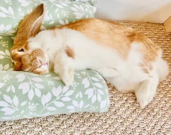 BunloafbyCharlie | Etsy Bunny Care Tips, Bunny Bed, Flemish Giant Rabbit, Funny Bunny Videos, Bunny Beds, Bunny Room, Pet Bunny Rabbits, Indoor Rabbit, Bunny Care