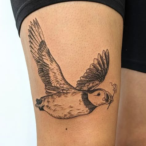 Quail Tattoo, Puffin Tattoo, Tattoo Future, Raccoon Tattoo, Tattoos 2024, Woodcut Tattoo, Animal Sleeve Tattoo, Atlantic Puffin, Puffins Bird