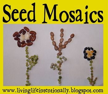 Seed Plant Unit ...many activities Seed Crafts For Kids, Camp Themes, Seed Craft, 123 Homeschool 4 Me, Planting Garden, Preschool Garden, Themed Garden, Plants Unit, Plant Activities