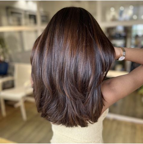 Indian Hair Color, Hair Color For Brown Skin, 2024 Hair Trends, Warm Brown Hair, Black Hair Balayage, Hair Color Chocolate, Brown Hair Looks, Brown Hair Inspo, Brunette Hair With Highlights