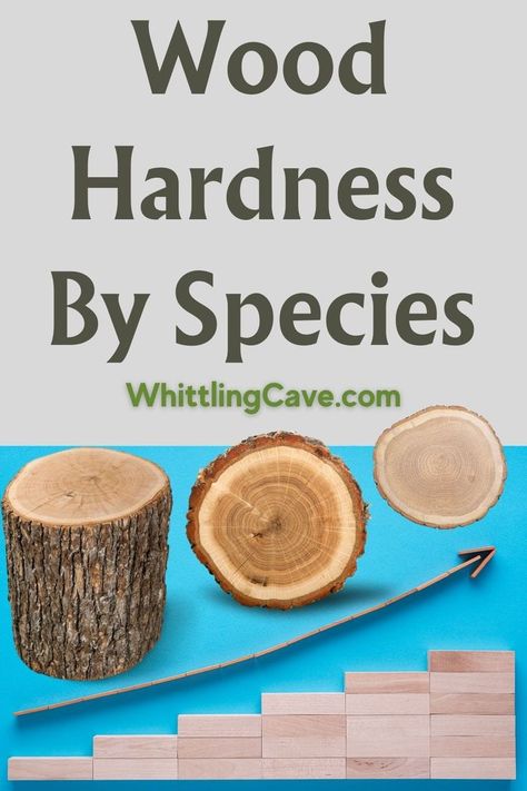 a graph depicting wood type and wood hardness up and to the right Hard Truth, Whittling, Wood Species, Lumber, Types Of Wood, Wood Carving, Woodworking, Carving, Wood