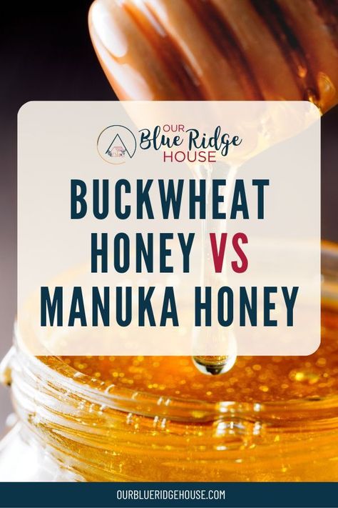 Among honey varieties, we're comparing the unique characteristics and potential health perks of Buckwheat honey vs Manuka honey. #honey #buckwheathoney #manukahoney #naturalremedies Buckwheat Honey, Honey Health Benefits, Honey Benefits, Food Info, Honey Recipes, Manuka Honey, Teacher Blogs, Unique Characteristics, Buckwheat