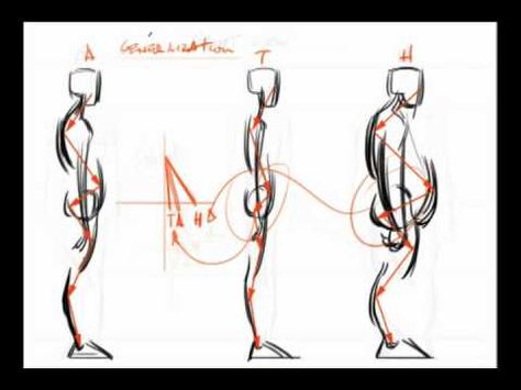 Force Drawing Anatomy, Force Gesture Drawing, Force Notes, Draw Different Body Types, Gesture Study, Force Drawing, Figure Gesture, Drawing Animation, Live Drawing