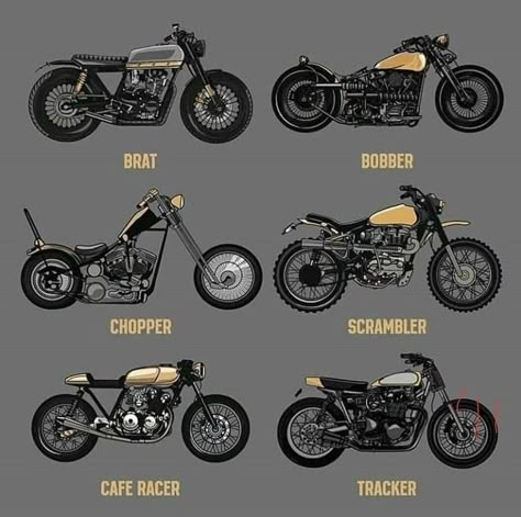 Honda Cafe Racer, Types Of Motorcycles, Мотоциклы Harley Davidson, Cafe Racer Moto, Best Motorbike, Moto Scrambler, Cafe Racing, Moto Custom, Bmw Cafe Racer