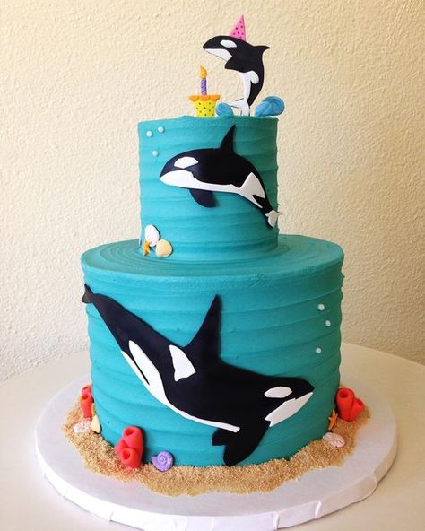 Orca Cake, Whale Birthday Cake, Dolphin Birthday Cakes, Dolphin Cake, Whale Cakes, Dolphin Cakes, Whale Birthday, Sea Cake, Ocean Cakes