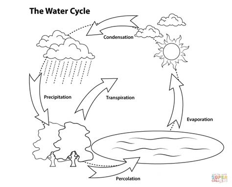 Blank Water Cycle Diagram Printable Water Cycle Coloring Page, Water Cycle For Kids, Water Cycle Project, Water Cycle Diagram, Hydrological Cycle, Water Cycle Activities, Cycle Pictures, Water Cycle Worksheet, Cycle Drawing