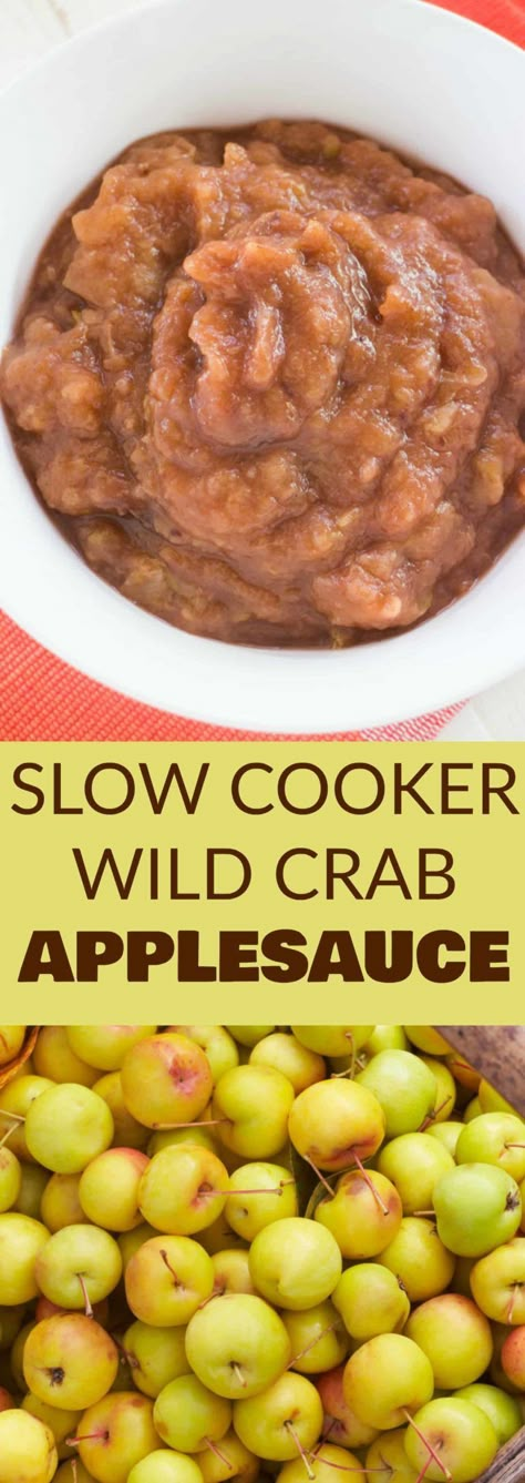 Applesauce Crockpot, Crockpot Applesauce Recipe, Crab Apple Recipes, Healthy Applesauce, Applesauce Recipes, Crockpot Cake, Slow Cooker Applesauce, Crockpot Applesauce, Crab Apples