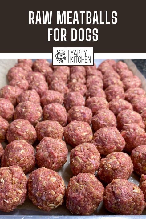 Meatballs For Dogs, Raw Lifestyle, Frozen Turkey Meatballs, Homemade Turkey Meatballs, Moose Meat, Dog Raw Diet, Raw Dog Treats, Pet Bakery, Foods Dogs Can Eat