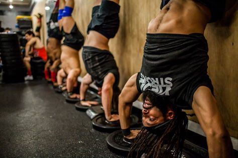 Crossfit Handstand, Push Up Program, Handstand Pushup, Hand Stands, Handstand Push Up, Dumbbell Press, Crossfit Games, Push Ups, Handstand