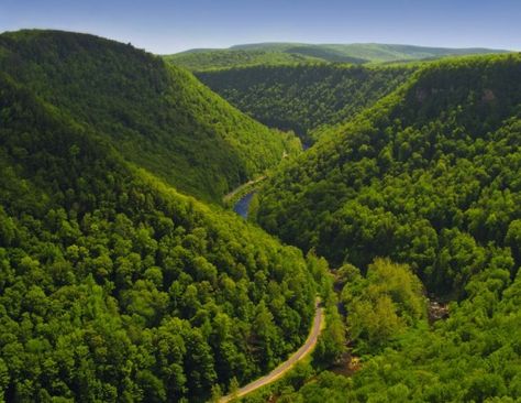 Pennsylvania - this is why I love West Virginia, the green mountains of my home state Pennsylvania are like the green mountains of my adopted state West Virginia!! Pennsylvania Bucket List, Pennsylvania Travel, Scenic Road Trip, Visit Places, Scenic Roads, Road Trip Destinations, Scenic Byway, Winding Road, Nature Preserve