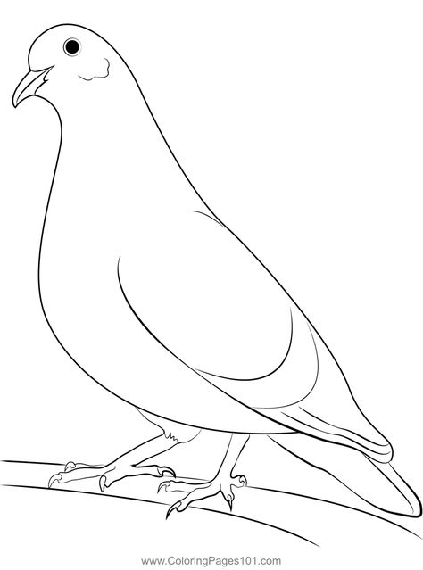 Green Wing Dove Coloring Page World Map Coloring Page, Dove Drawing, Bird Coloring, Green Wing, Bird Coloring Pages, Pokemon Coloring Pages, Pokemon Coloring, X Wing, Blooming Flowers