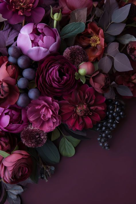 Moody Floral Wallpaper Iphone, Dark Flowers Aesthetic, Flower Wallpaper Phone, Dark Peonies, Ipad Inspo, Purple People, Flower Background Images, Desktop Photos, Png Flowers