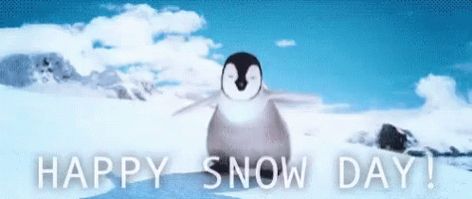 No School Snow GIF - No School Snow Day - Discover & Share GIFs Snow Day Gif, School Snow Day, Snow Day Meme, Penguin Gif, Happy Snow Day, Craft Sayings, Snow Dance, I Love You Animation, Snow Gif