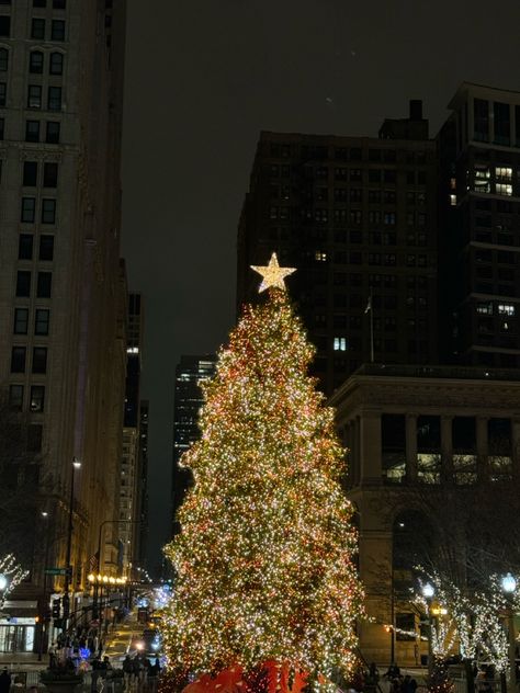 #christmas #christmastrees #chicago Chicago Christmas Aesthetic, Philly Christmas, Macys Christmas, Chicago Christmas Tree, Christmas Chicago, Christmas In Chicago, Christmas Widgets, Chicago Christmas, Christmas Nyc