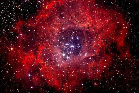 The Rosette Nebula (also known as Caldwell 49) is a large spherical H II region (circular in appearance) located near one end of a giant molecular cloud in the Monoceros region of the Milky Way Galaxy. The open cluster NGC 2244 (Caldwell 50) is closely associated with the nebulosity, the stars of the cluster having been formed from the nebula's matter. Rosette Nebula, The Sky, Stars, Red, Blue