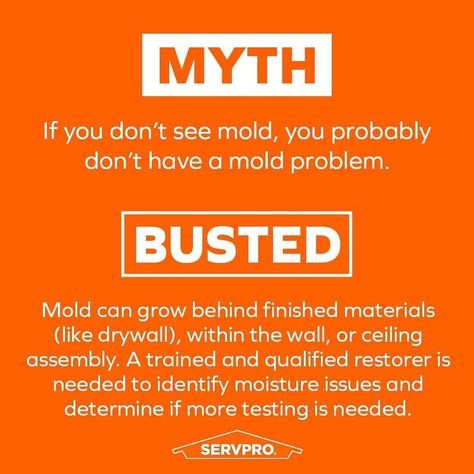 Myth Busted, Mold Remediation, Upper East Side, Warning Signs, East Side, Home A, Molding, Marketing, Signs