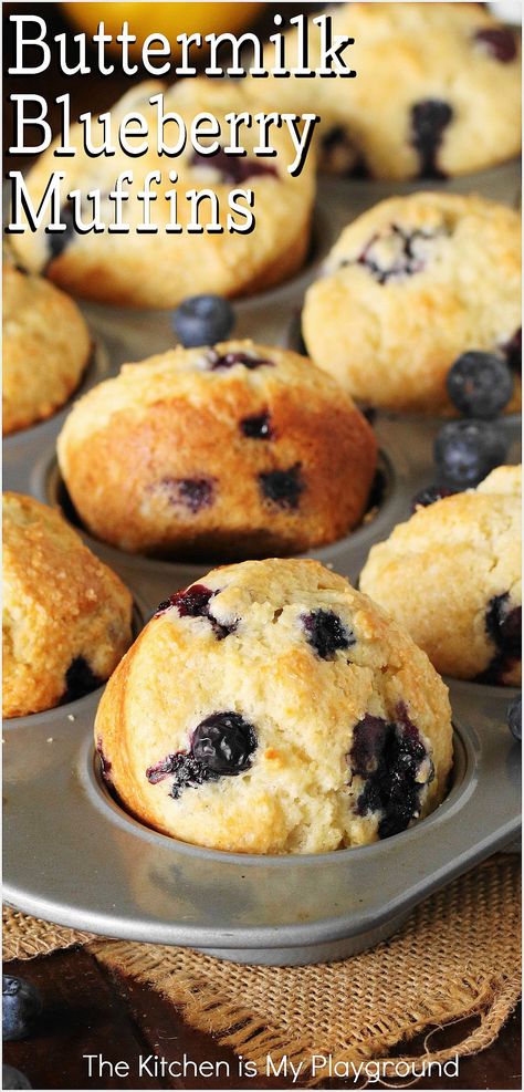 Buttermilk Blueberry Muffins in baking pan Blueberry Buttermilk Muffins, Blueberry Recipes Easy, Savory Biscuits, Buttermilk Blueberry Muffins, Brunch Pastries, Buttermilk Blueberry, Buttermilk Muffins, Dessert Cravings, Blueberry Muffin Recipe