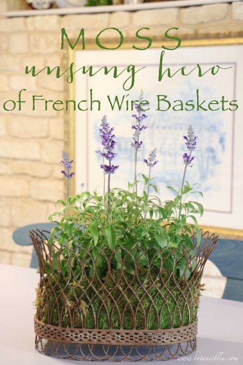 Wire Basket Decor Ideas, Wire Basket Ideas, Kitchen Table Centerpiece Ideas, Wire Basket Decor, Plants Kitchen, Table Centerpiece Ideas, Plants In Baskets, Basket Flower Arrangements, Basket Centerpieces