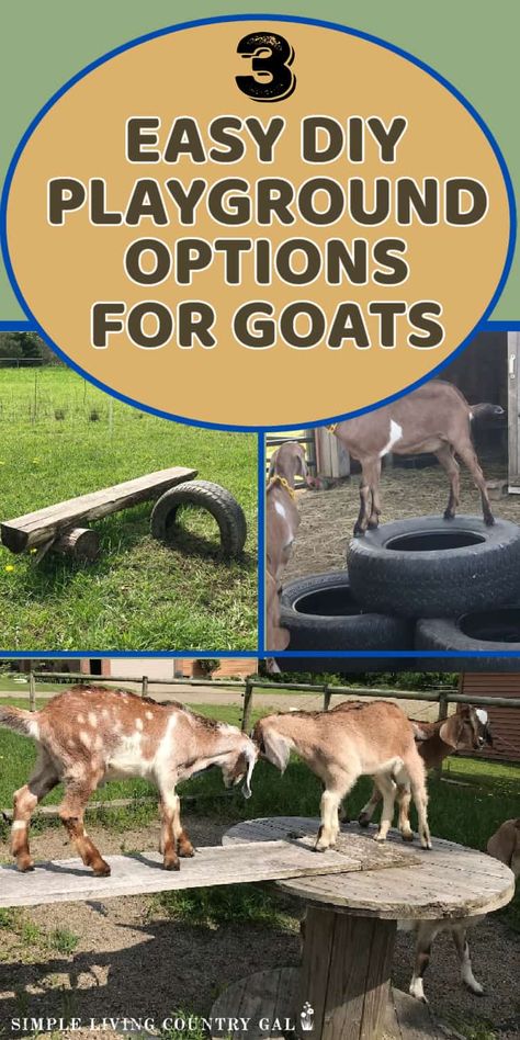 Diy Toys For Goats, Diy Hay Feeder For Goats, Easy Goat Playground Ideas, Goat Enrichment Ideas, Goat Playground Ideas, Easy Wooden Projects, Goat Toys Playground Diy, Cheap Goat Playground, Goat Toys Playground Play Areas