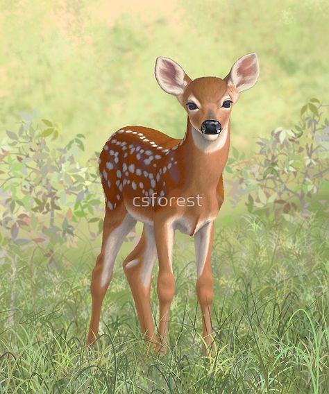 Fawn Painting, Wildlife Painting, Deer Photos, Deer Pictures, Deer Fawn, 2022 Art, Deer Painting, Deer Baby, Cute Deer