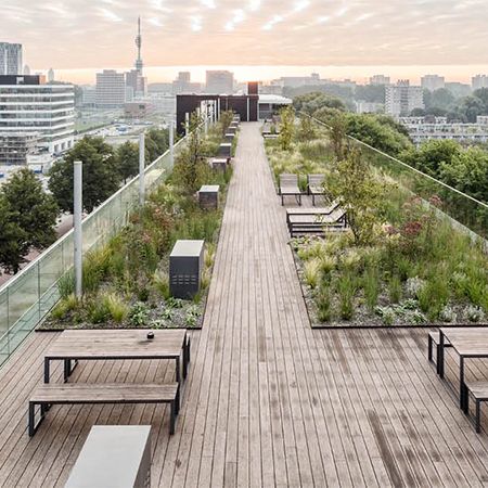 Green Roof Balcony, Roof Garden Landscape Architecture, Rooftop Landscape Architecture, Rooftop Grass Garden, Roof Gardens Design, Living Roof Garden, Green Roof Architecture Rooftop Gardens, Green Roof Terrace, Green Roofs Architecture